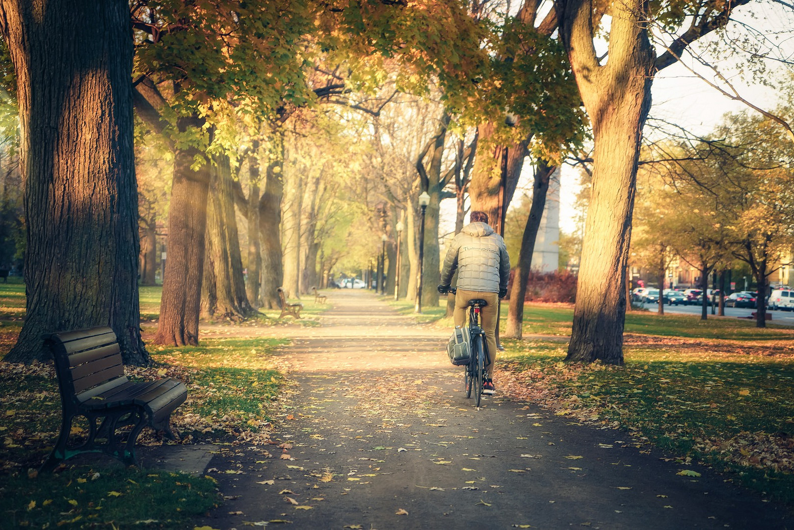 Biking Montreal