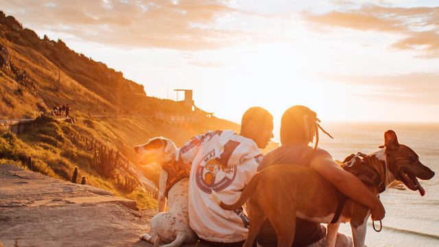 Two men sitting overlooking the ocean with their dogs.